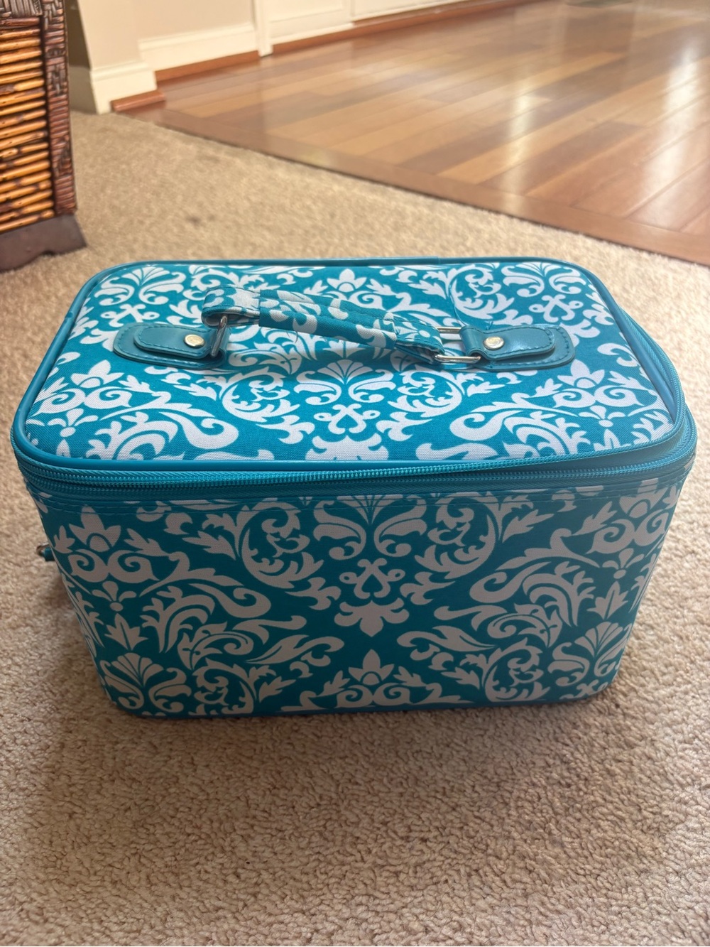 Teal and White Patterned Cosmetic Train Case